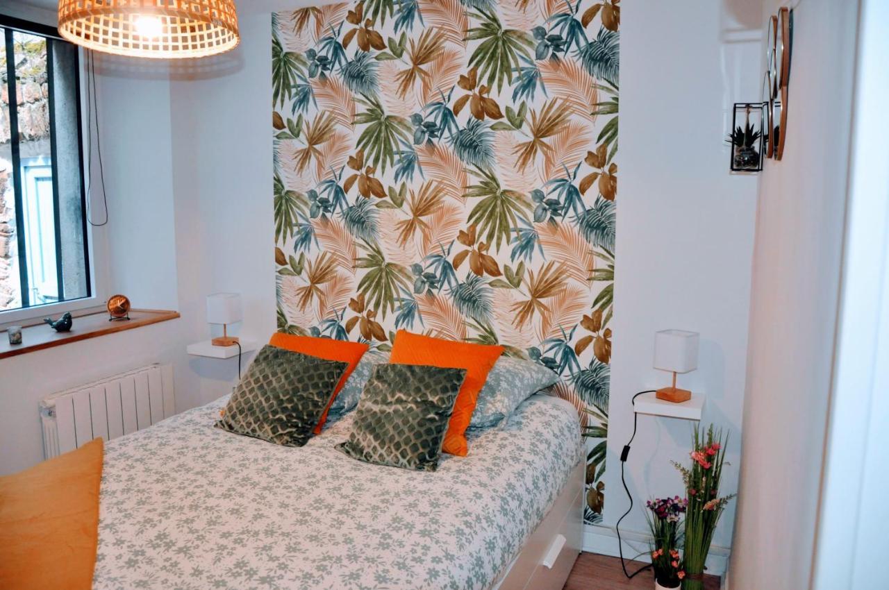 Dormir A Brioude - Appartement 'Esprit Nature' Zewnętrze zdjęcie